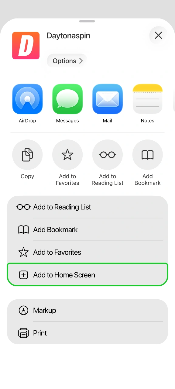 Create quick web app shortcut on iPhone screen for Daytonaspin.