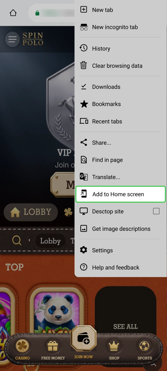 Select home screen shortcut option for instant access to Spinpolo.