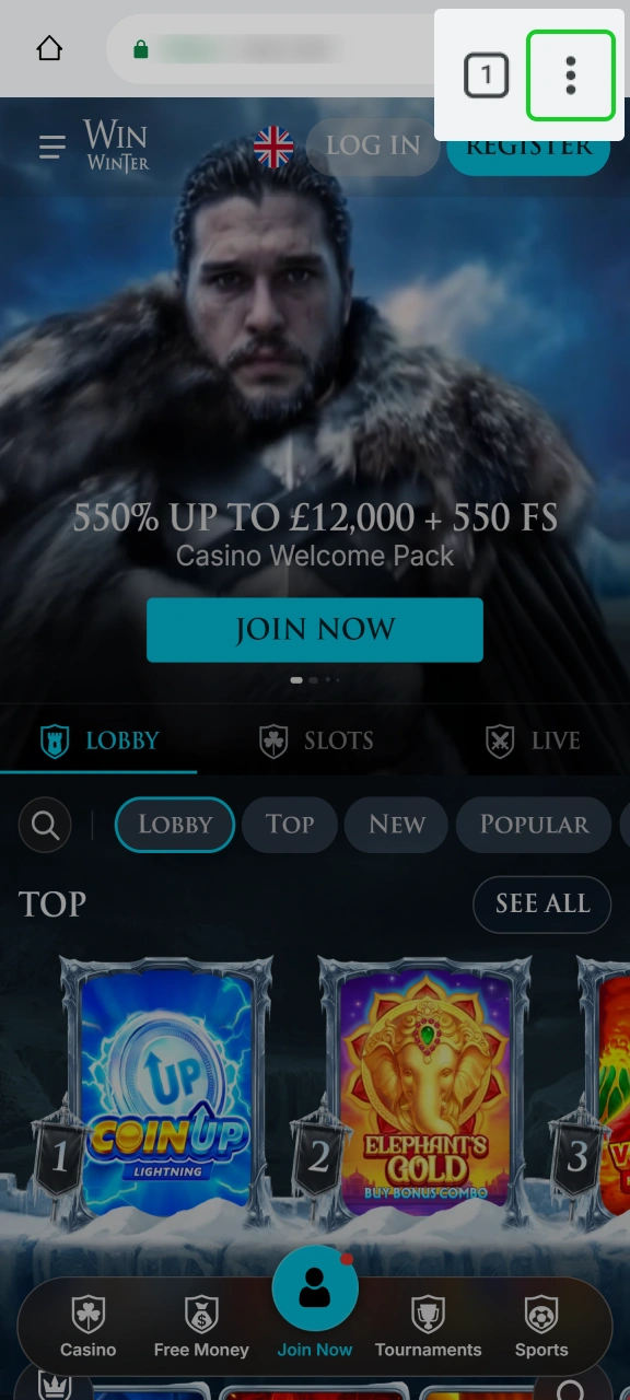 Access options menu in Chrome browser to proceed with WinWinter.