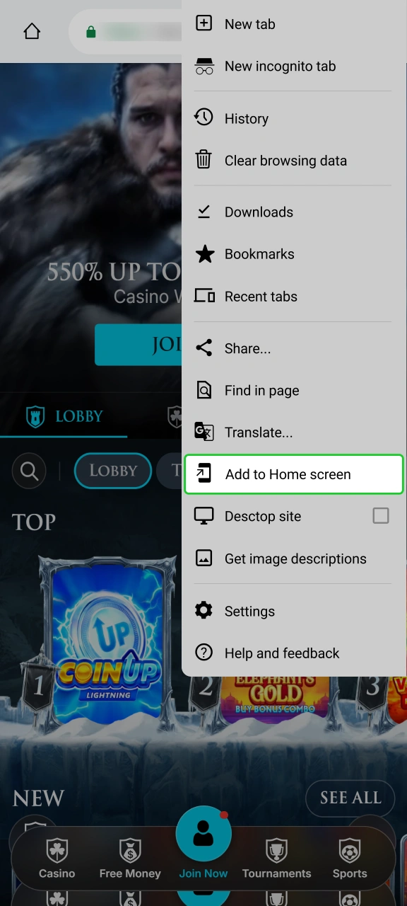 Select Add to Home screen option for instant WinWinter access.
